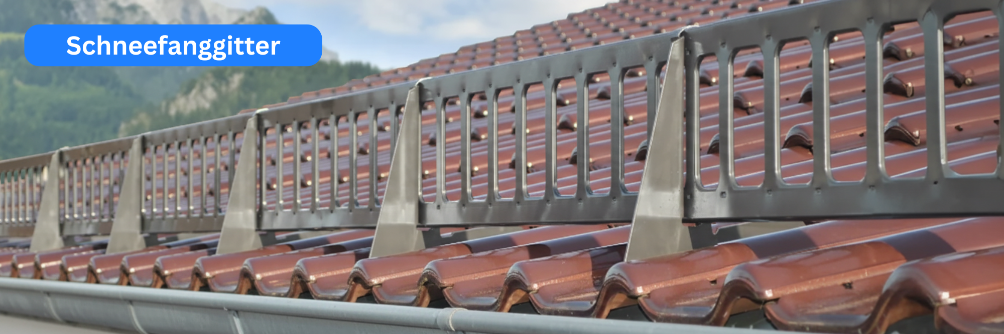 Schneefanggitter anthrazit montiert auf Dach